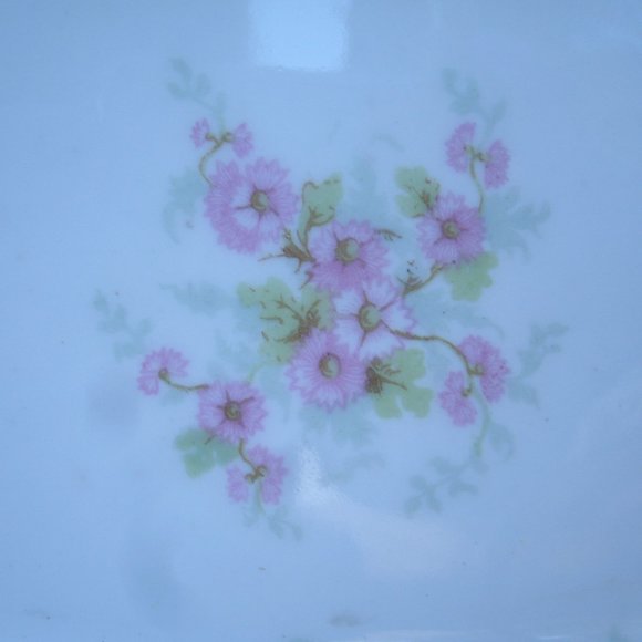 Antique Bawo & Dotter Elite Works Limoges Floral Serve Dish BWD4 - Picture 13 of 16